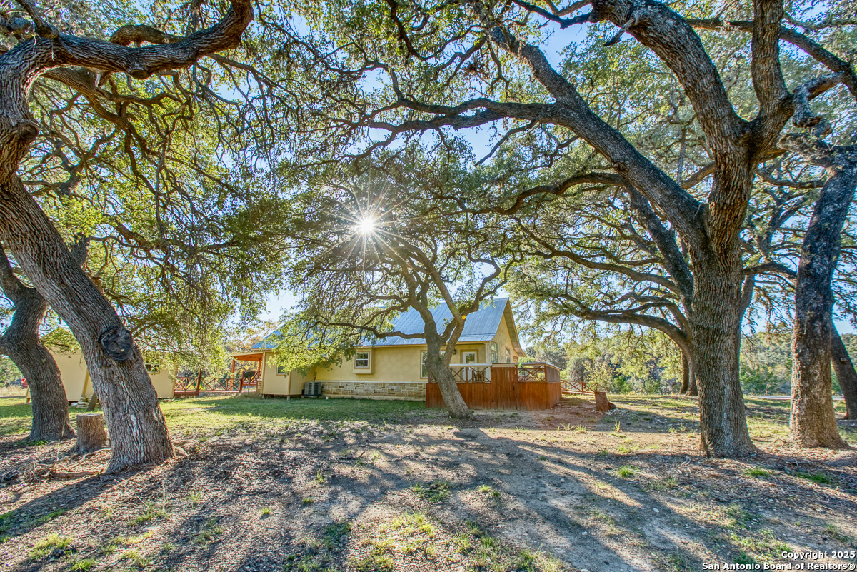 255 North Thunder Creek Road Utopia, TX 78884 - Photo 34 of 46 a view of a yard with a tree