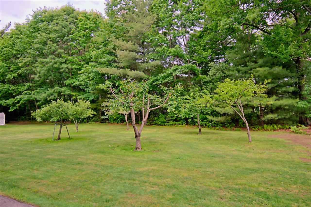 16 Norway Plains Road Rochester, NH 03868 - Photo 5 of 26