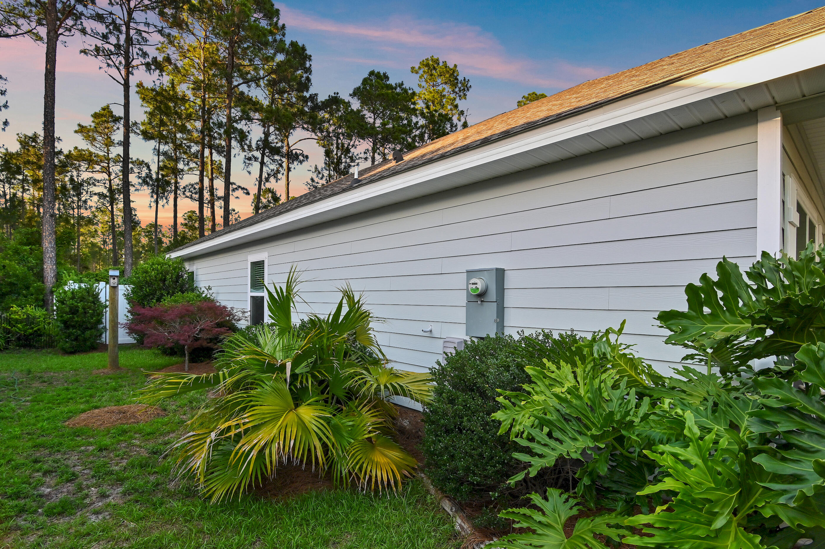 239 Southern Pnes Road Santa Rosa Beach, FL 32459 - Photo 31 of 32 Yard