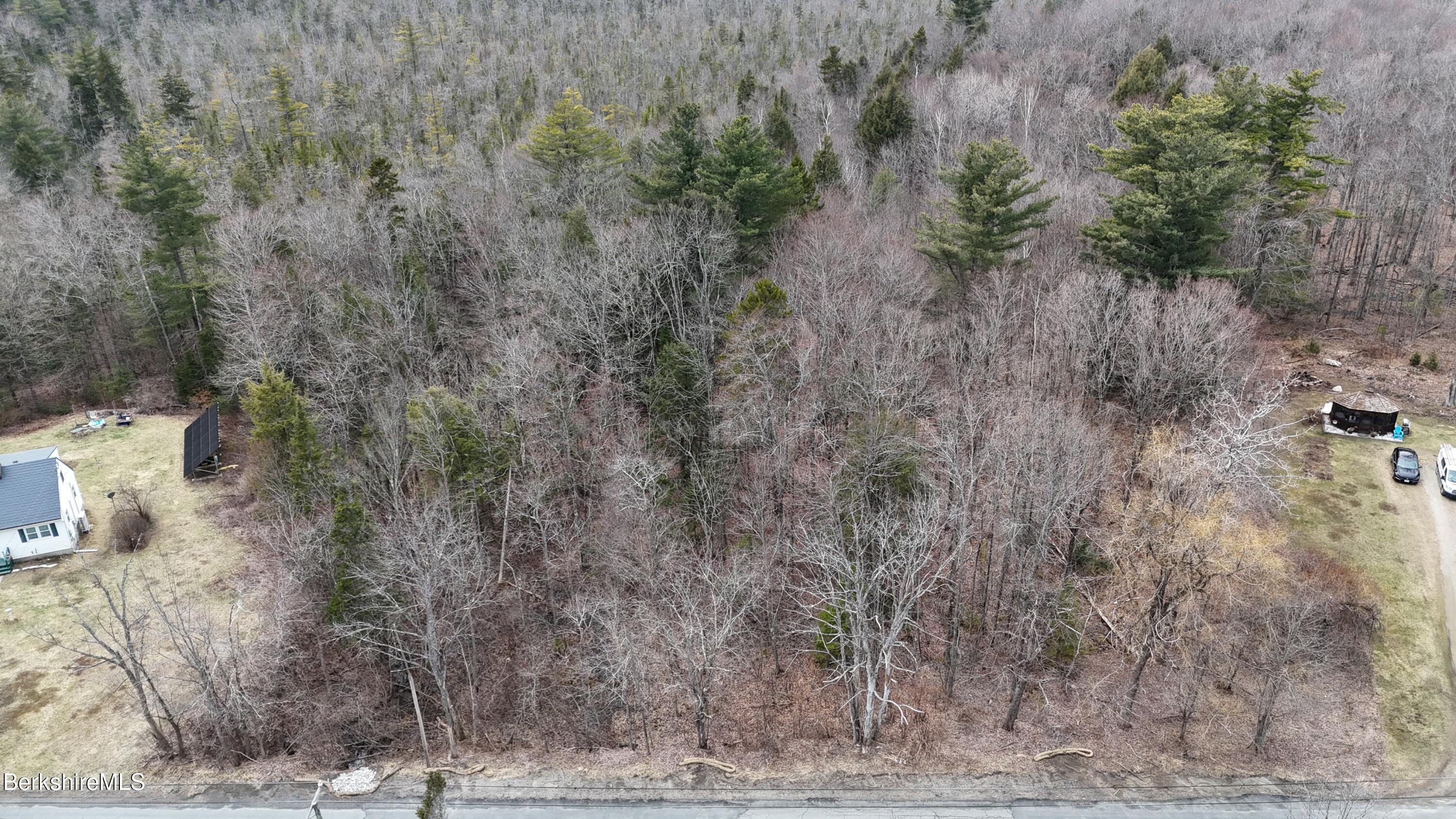 a view of a dry yard with trees