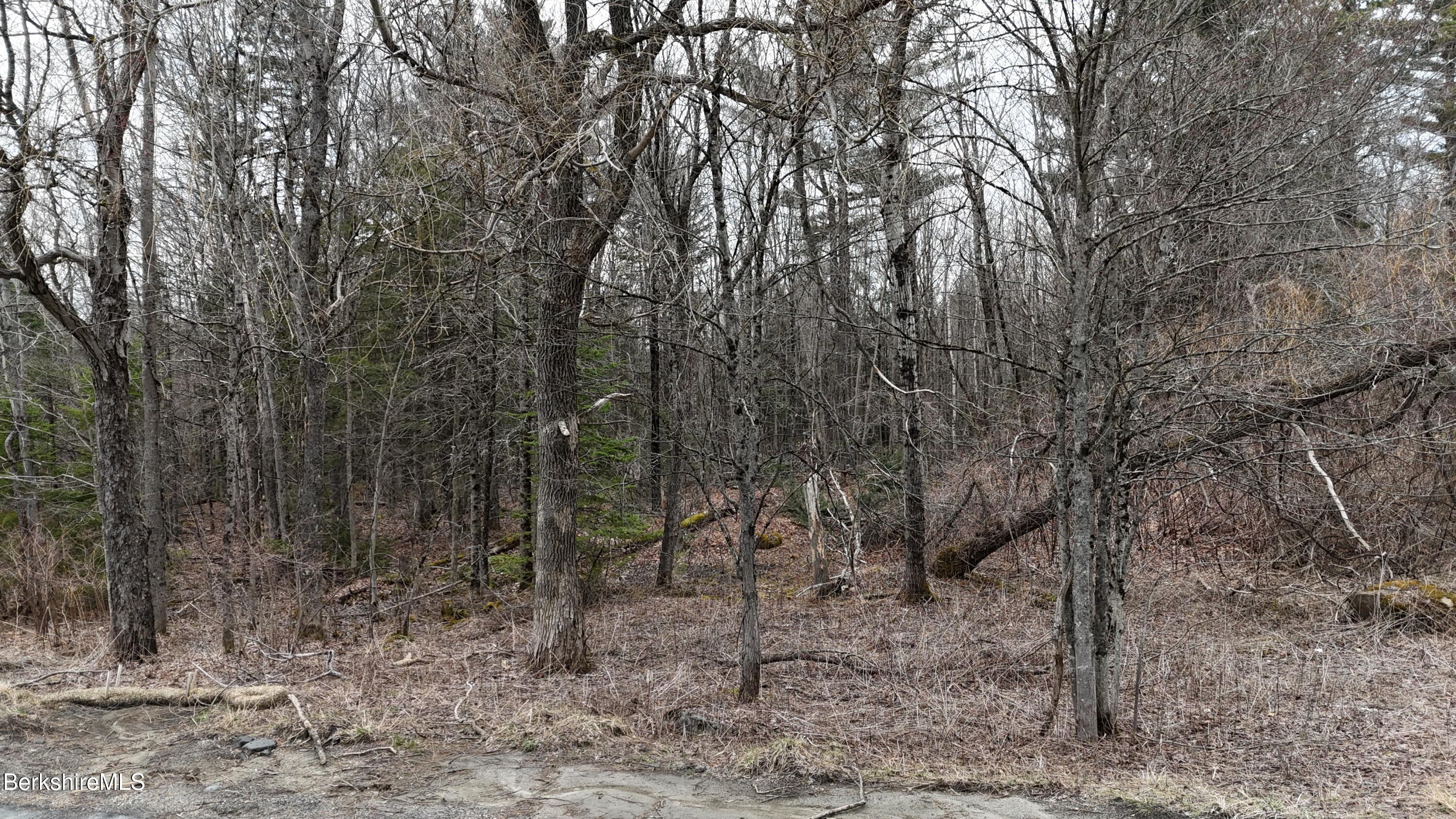 379 New Windsor Road Hinsdale, MA 01235 - Photo 12 of 12 a view of a forest