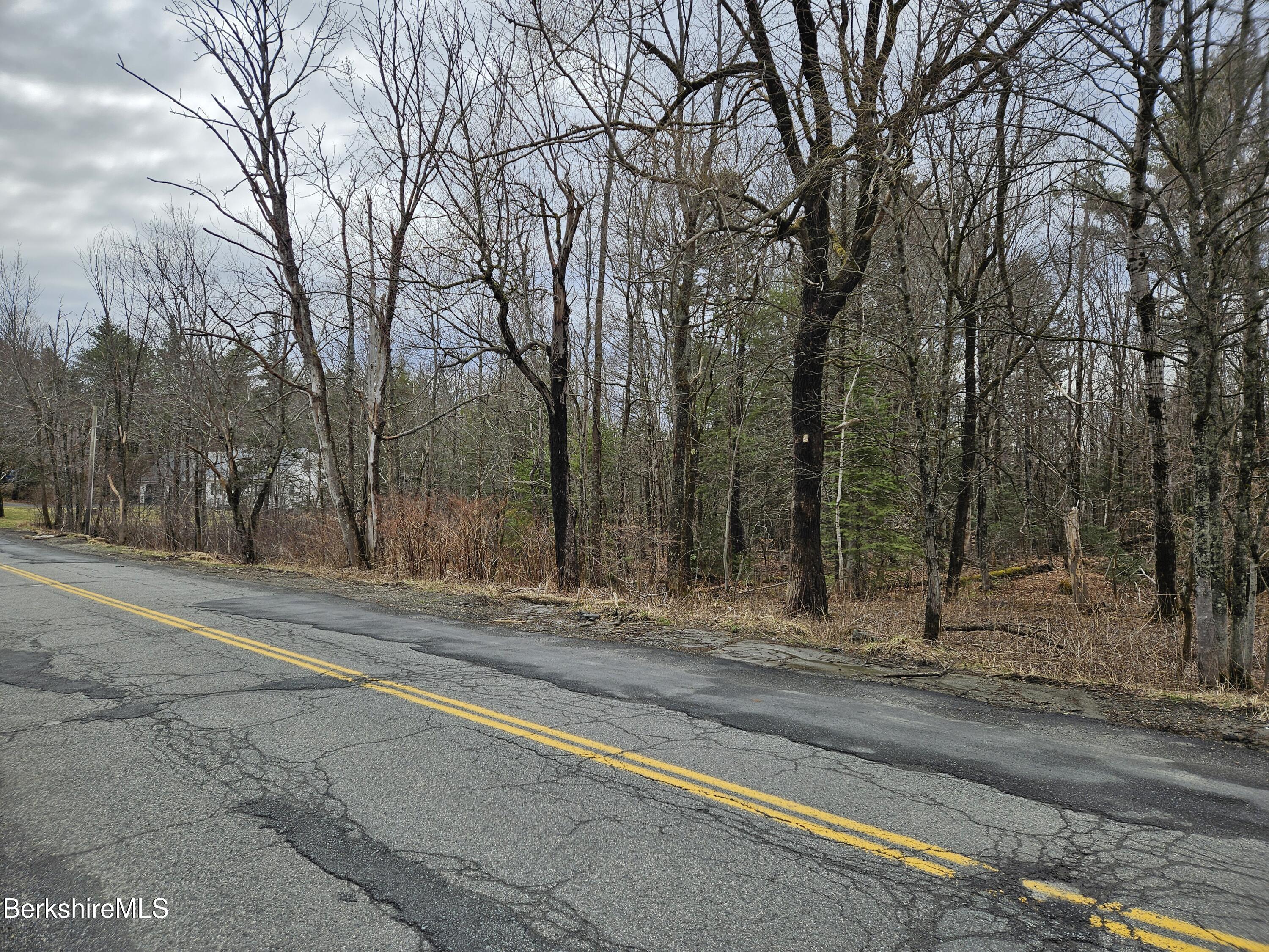 379 New Windsor Road Hinsdale, MA 01235 - Photo 3 of 12 a view of a yard with large trees
