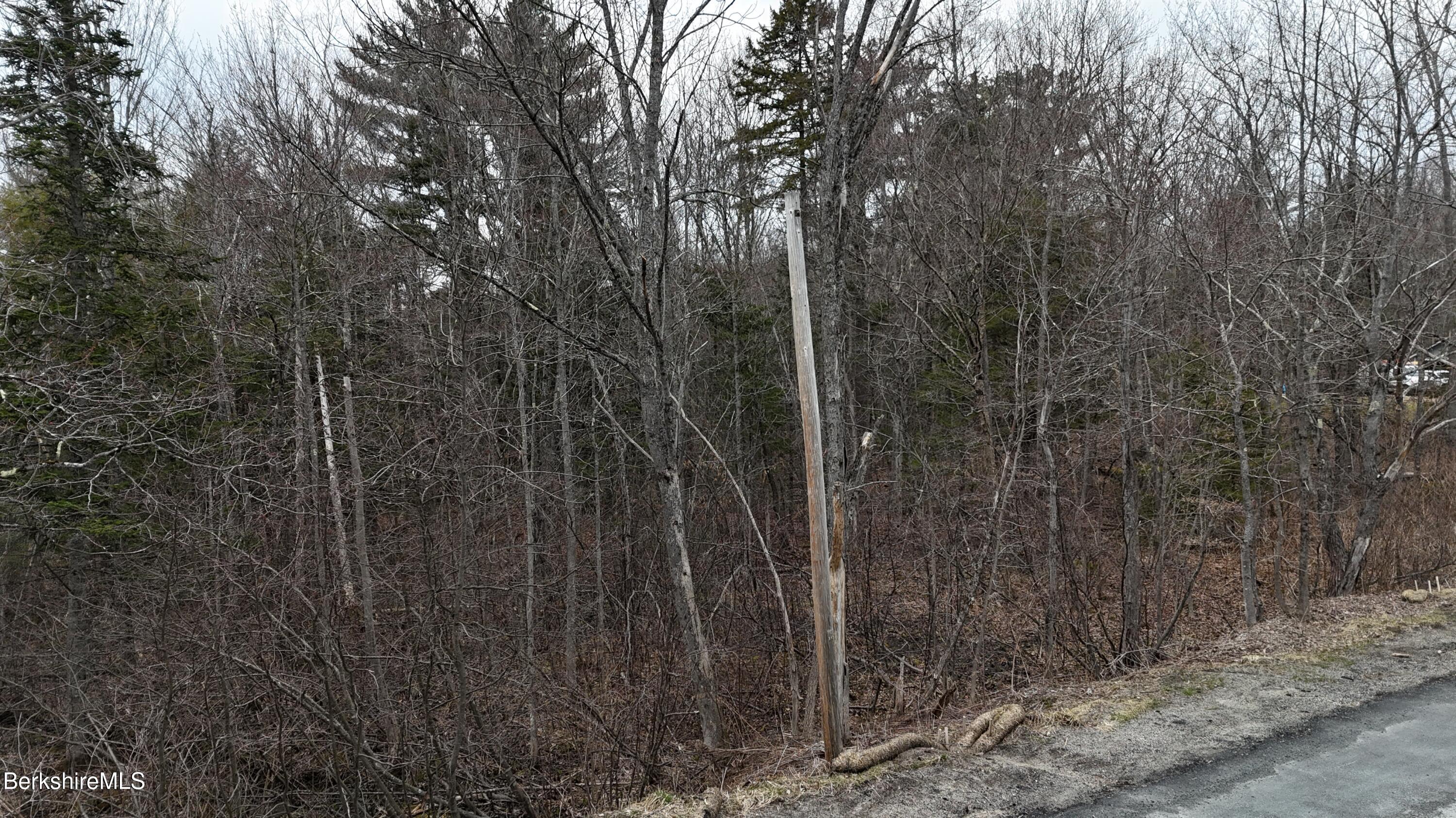 379 New Windsor Road Hinsdale, MA 01235 - Photo 5 of 12 a view of a forest