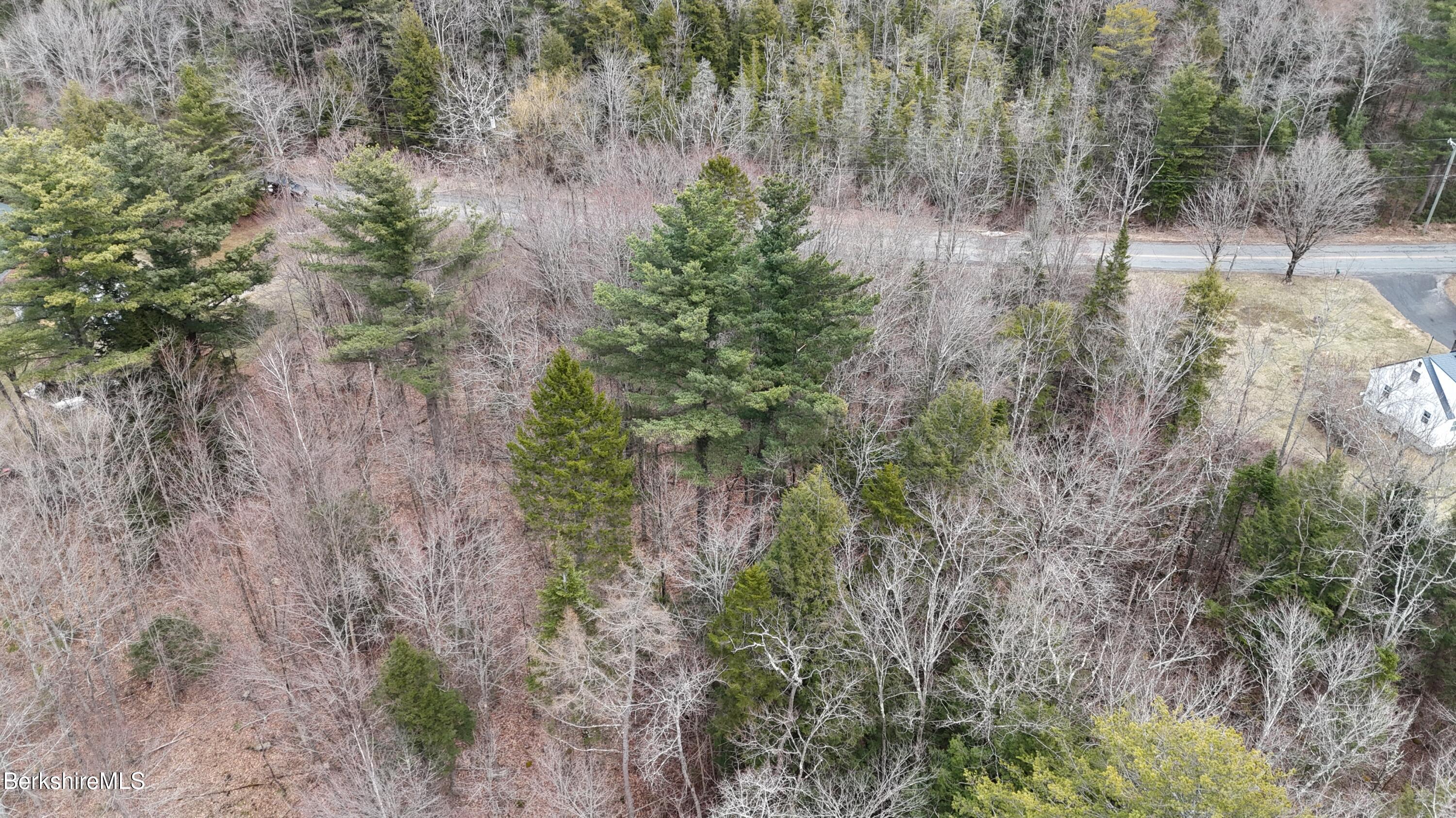 379 New Windsor Road Hinsdale, MA 01235 - Photo 6 of 12 a view of a forest with large trees
