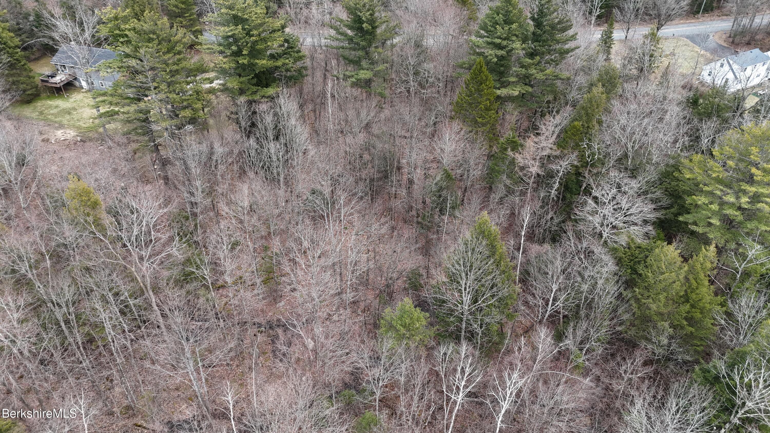 379 New Windsor Road Hinsdale, MA 01235 - Photo 8 of 12 a view of a forest with a tree in a yard