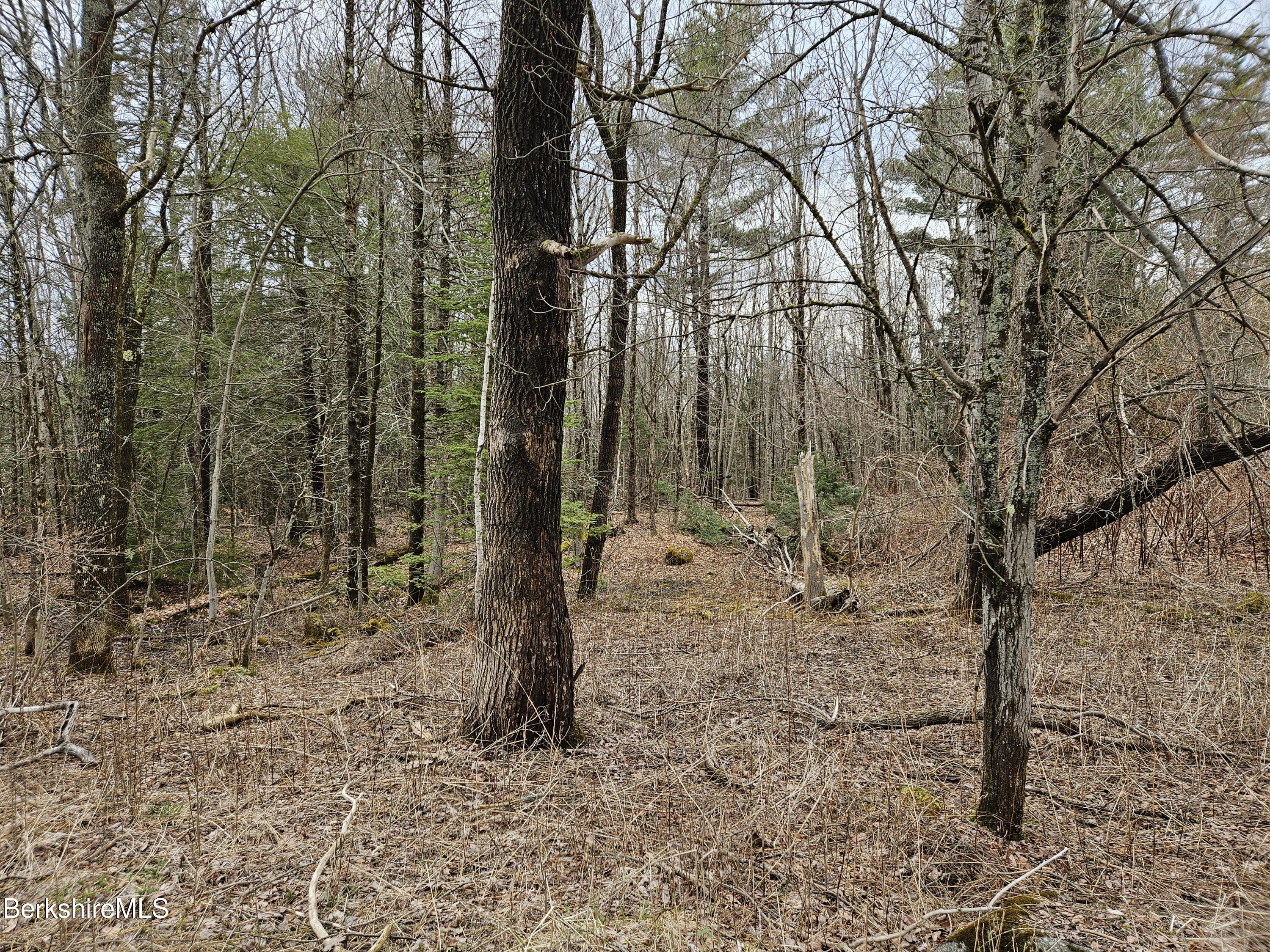 379 New Windsor Road Hinsdale, MA 01235 - Photo 9 of 12 a backyard of a house with lots of green space