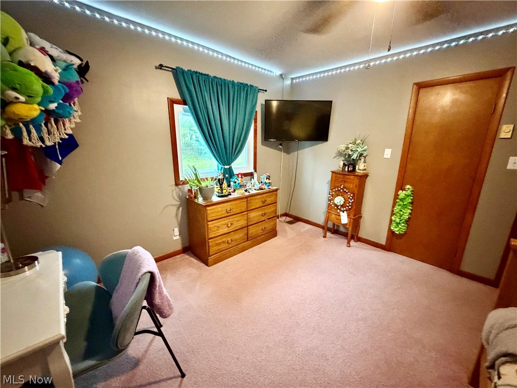 6852 Graham Road Pierpont, OH 44082 - Photo 24 of 45