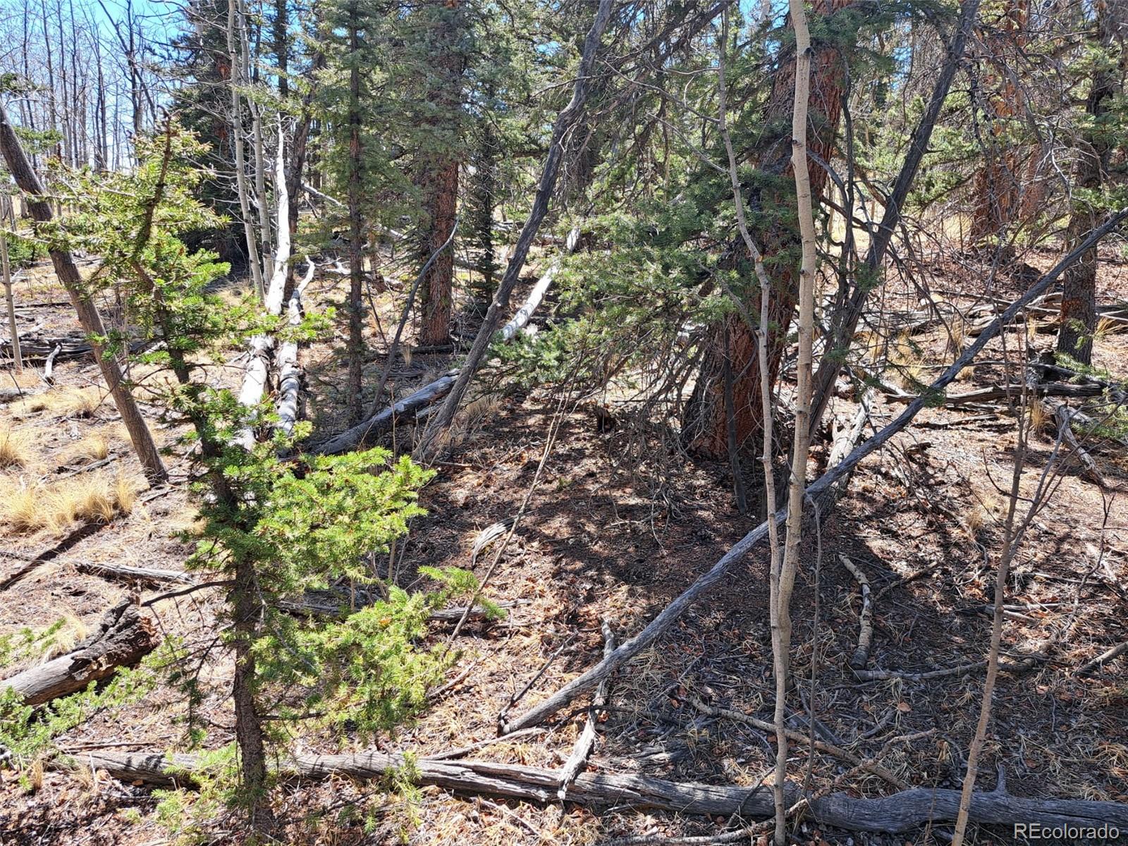 730 Tepee Trail Como, CO 80456 - Photo 15 of 29