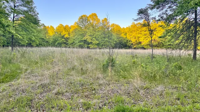 a view of lake with green space