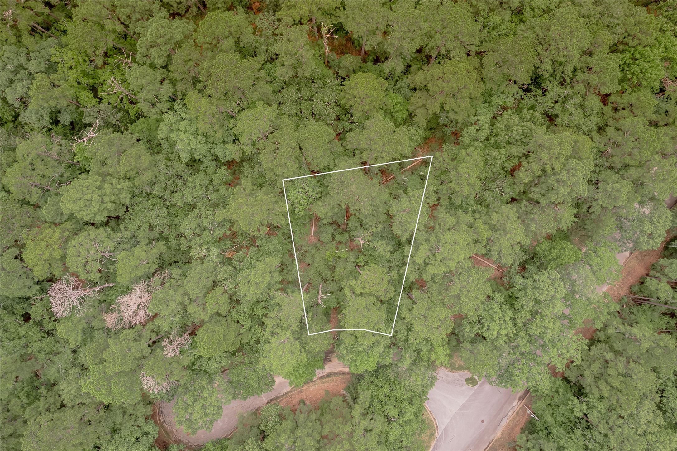 Lot 9 Rohm Place Point Blank, TX 77364 - Photo 2 of 26