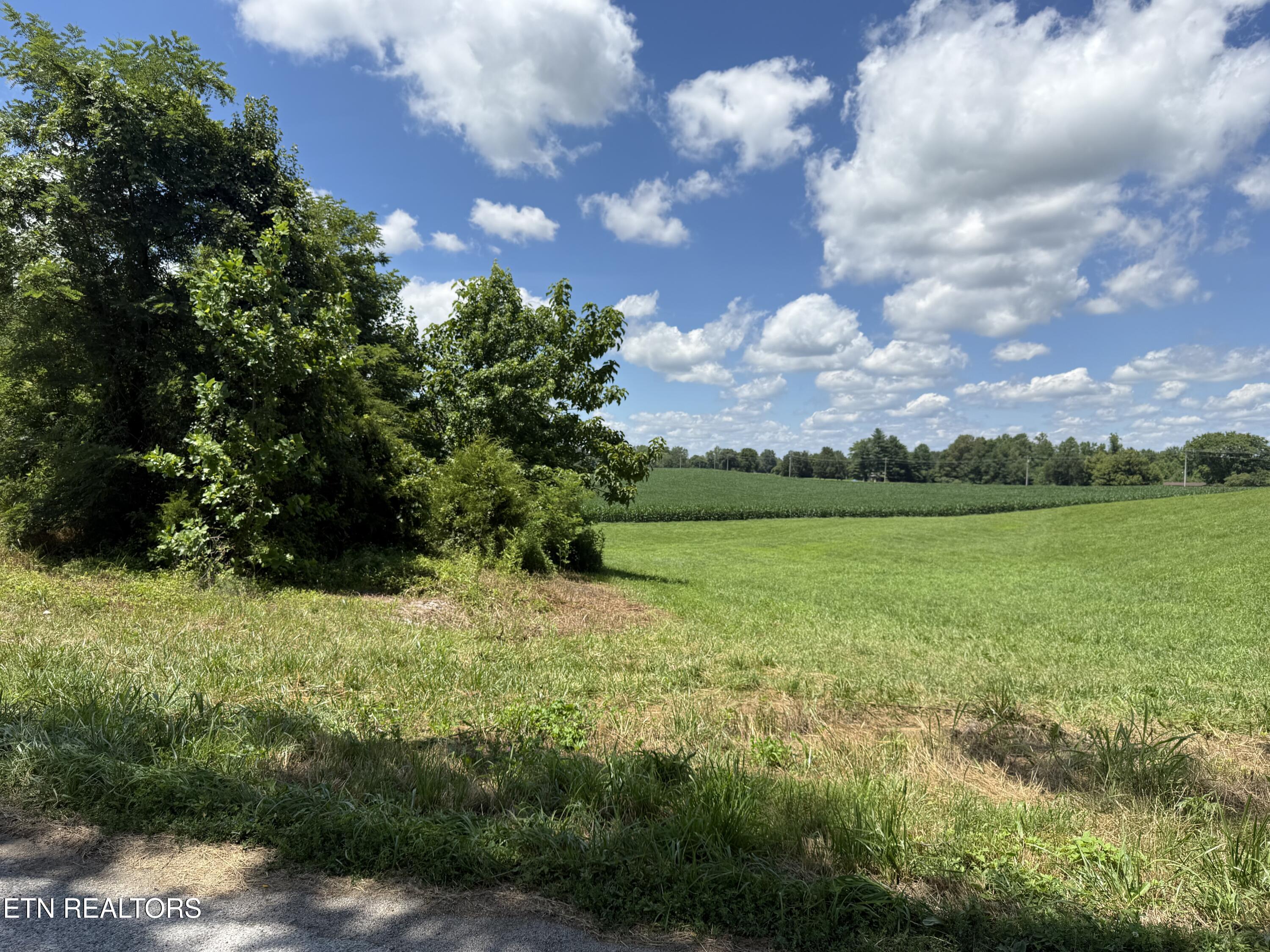 Dogwalk Road Monroe, TN 38573 - Photo 8 of 30 DW 14