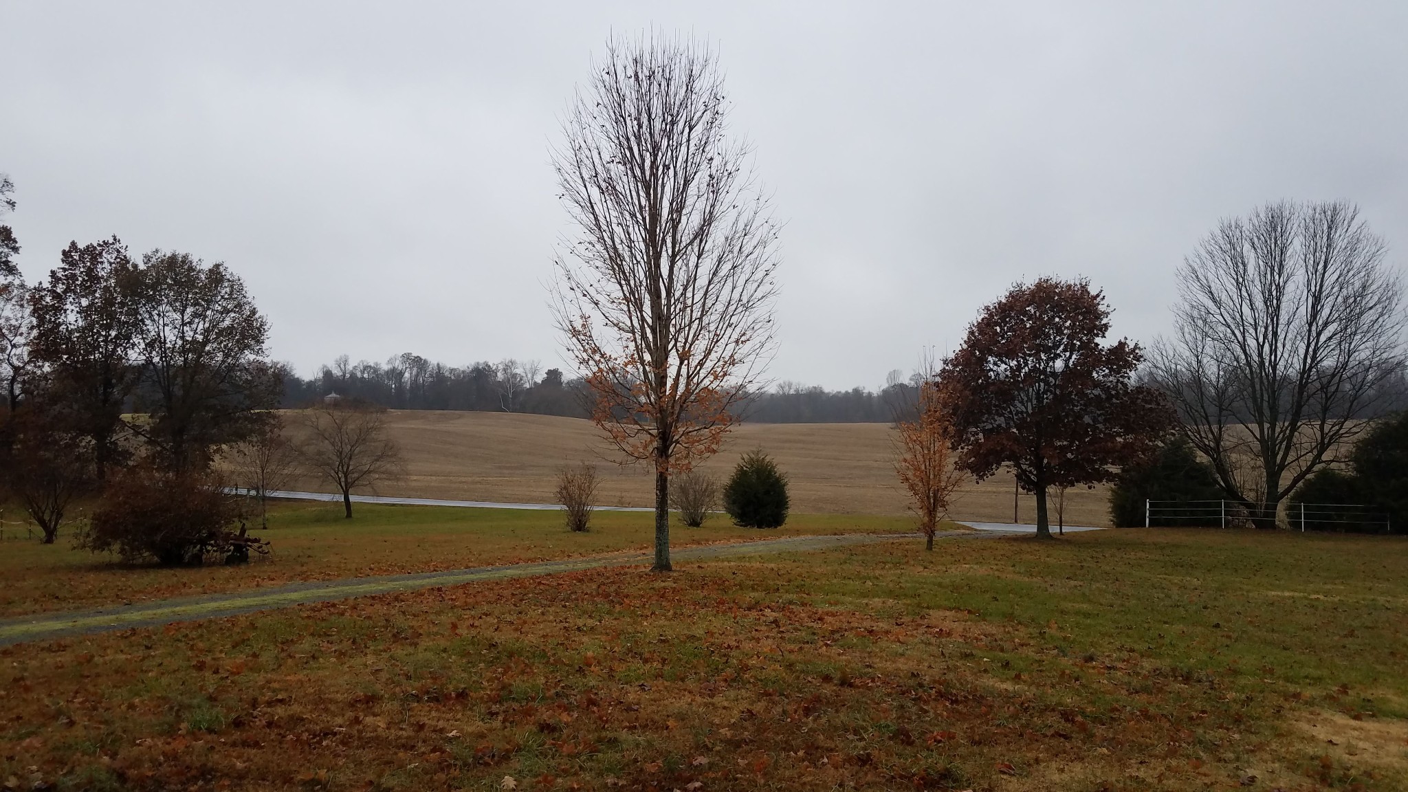 3784 Dot Road Springfield, TN 37172 - Photo 3 of 8 a view of outdoor space with city view
