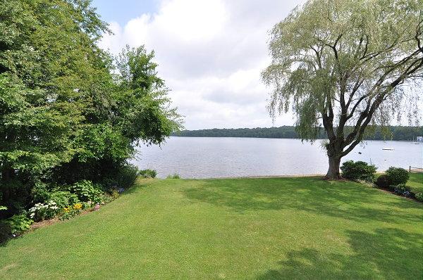 15 Parker Road Arlington, MA 02474 - Photo 16 of 19 a view of a garden with a tree