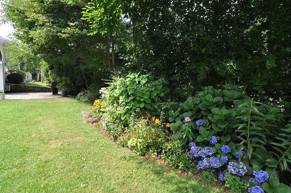 15 Parker Road Arlington, MA 02474 - Photo 19 of 19 a view of a garden