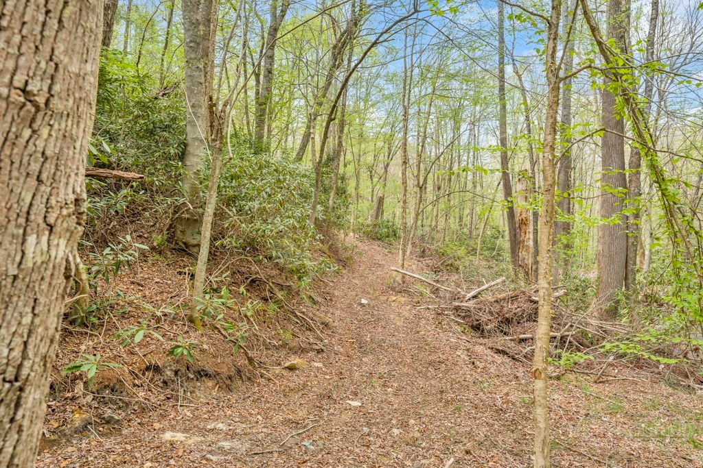 799 Milton Brown Heirs Road Boone, NC 28607 - Photo 43 of 47