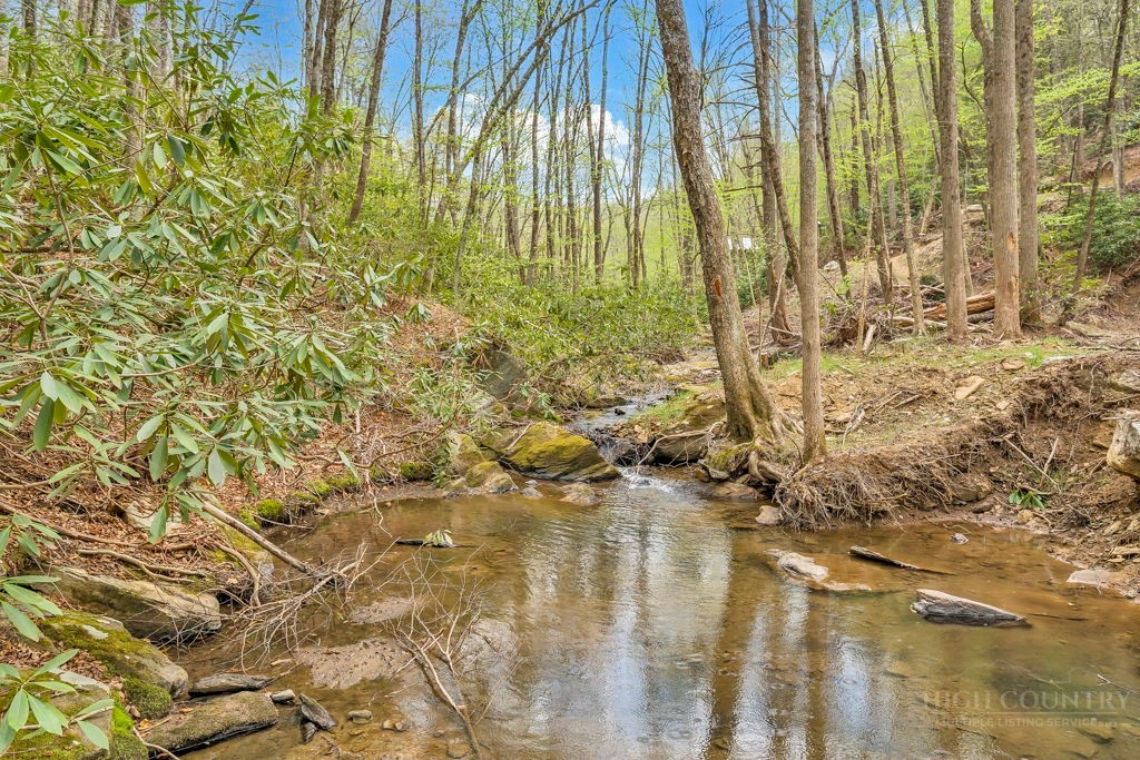 799 Milton Brown Heirs Road Boone, NC 28607 - Photo 44 of 47