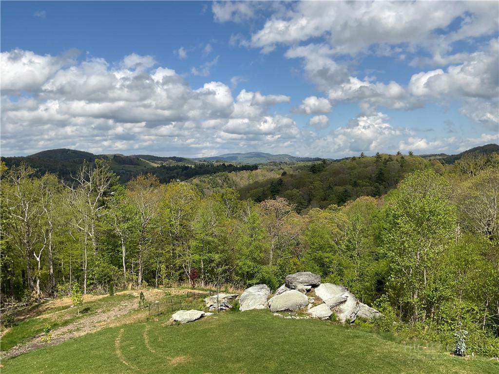 799 Milton Brown Heirs Road Boone, NC 28607 - Photo 45 of 47