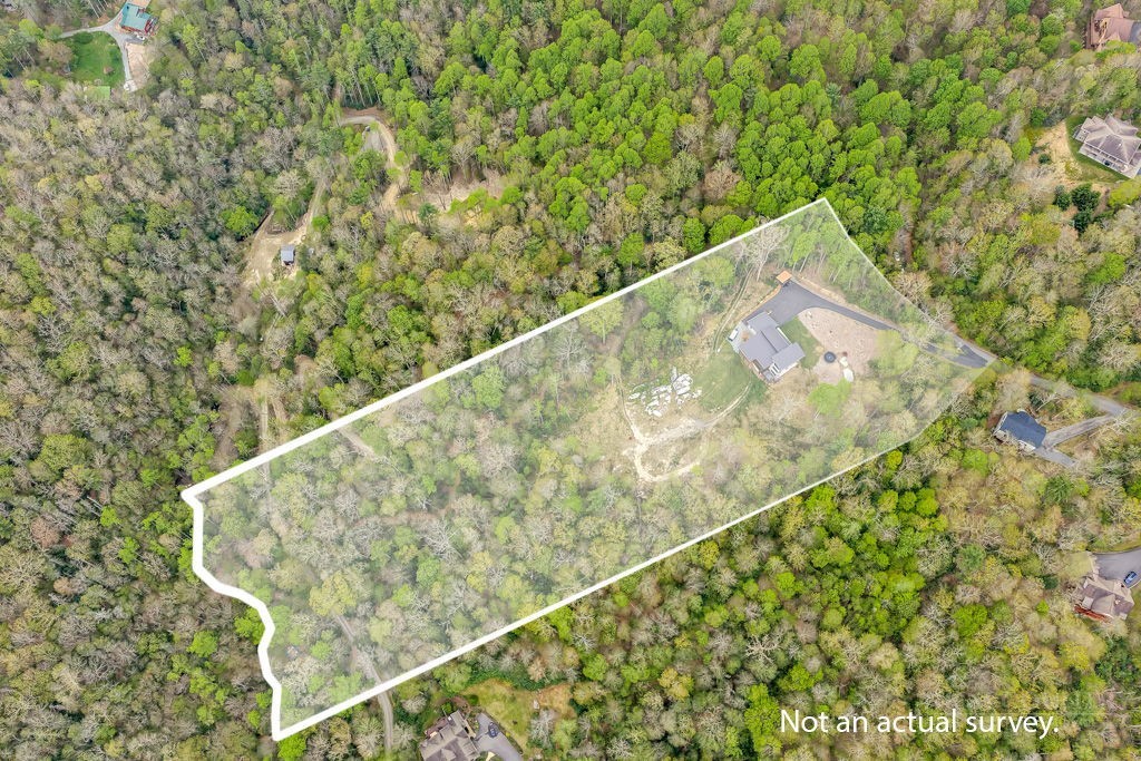 799 Milton Brown Heirs Road Boone, NC 28607 - Photo 6 of 47