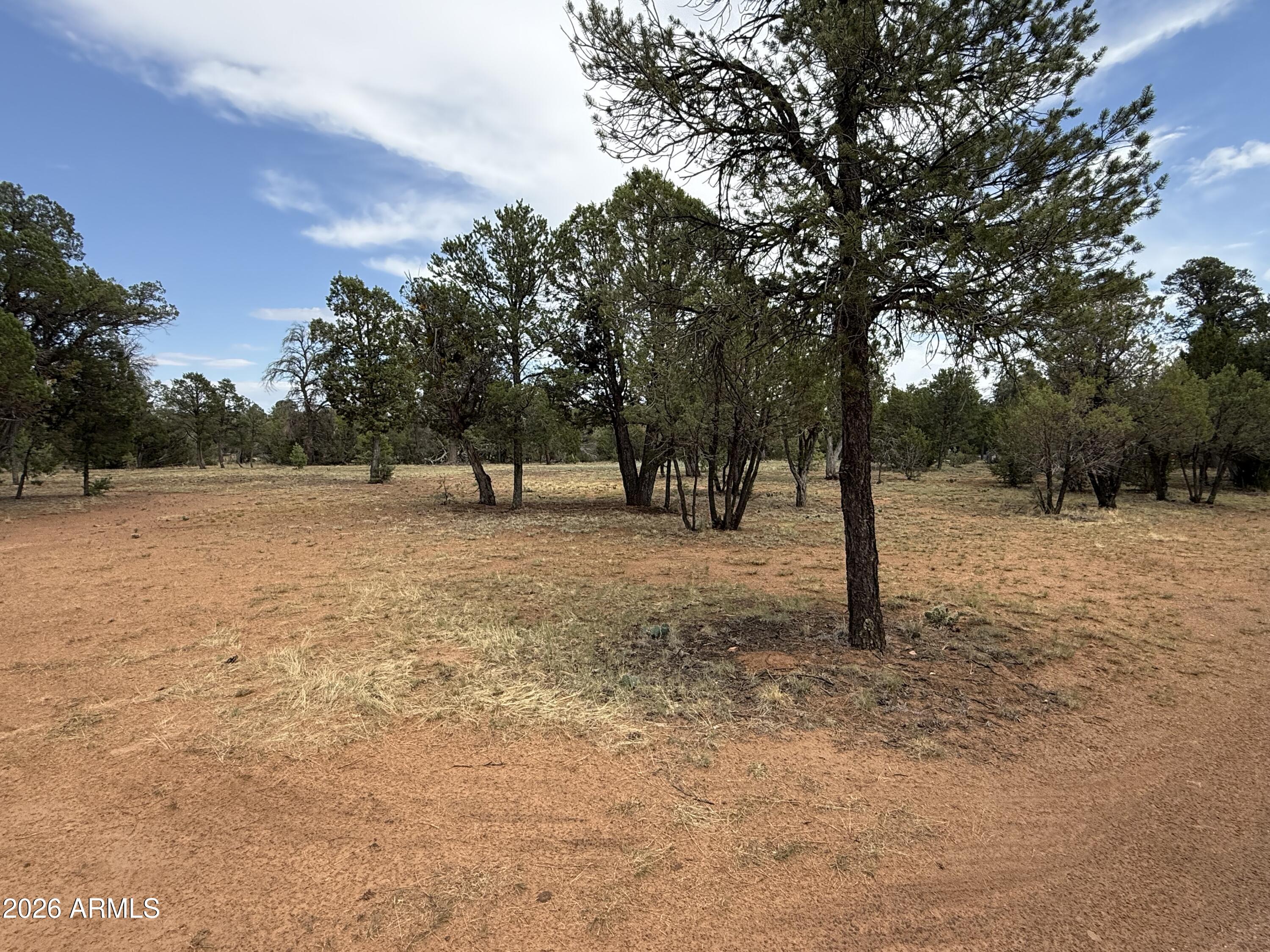 3048 Chevelon Road, Unit 147 Overgaard, AZ 85933 - Photo 10 of 13 a view of outdoor space with trees