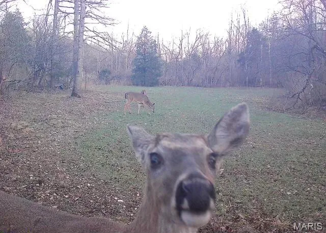 $249,900 | 1 Hollingshead Road, Leasburg, MO 65535