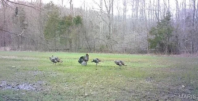 $249,900 | 1 Hollingshead Road, Leasburg, MO 65535