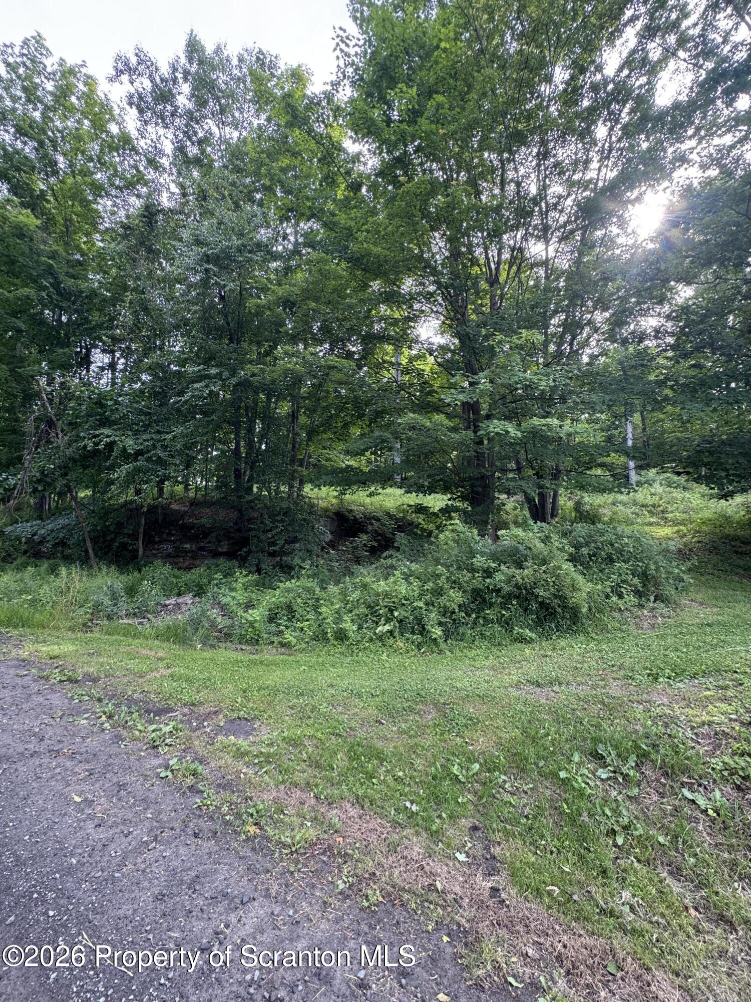 743 Pratt Hollow Road Nicholson, PA 18446 - Photo 53 of 68 Outside