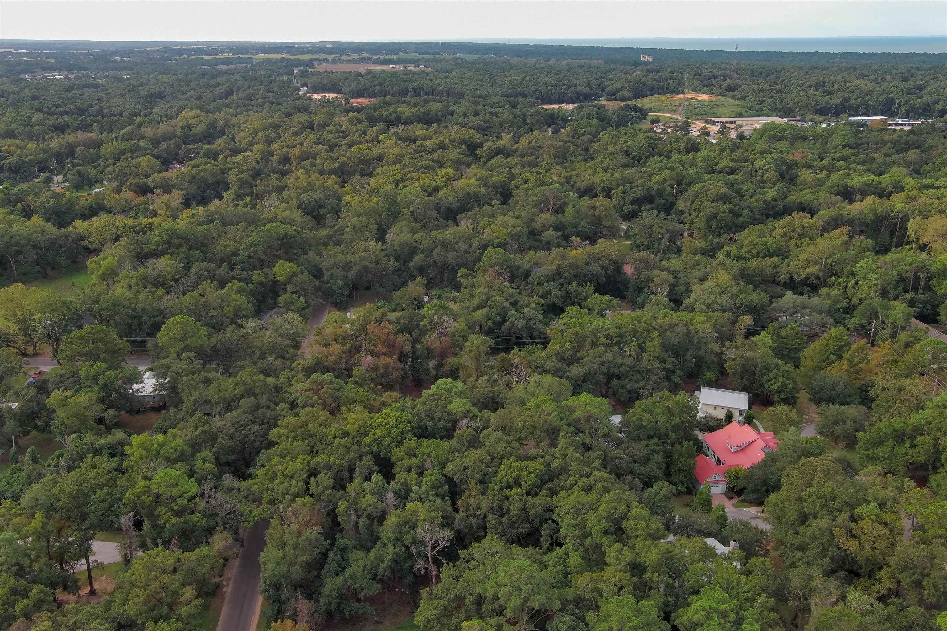 0 Middle Street Fairhope, AL 36532 - Photo 9 of 14