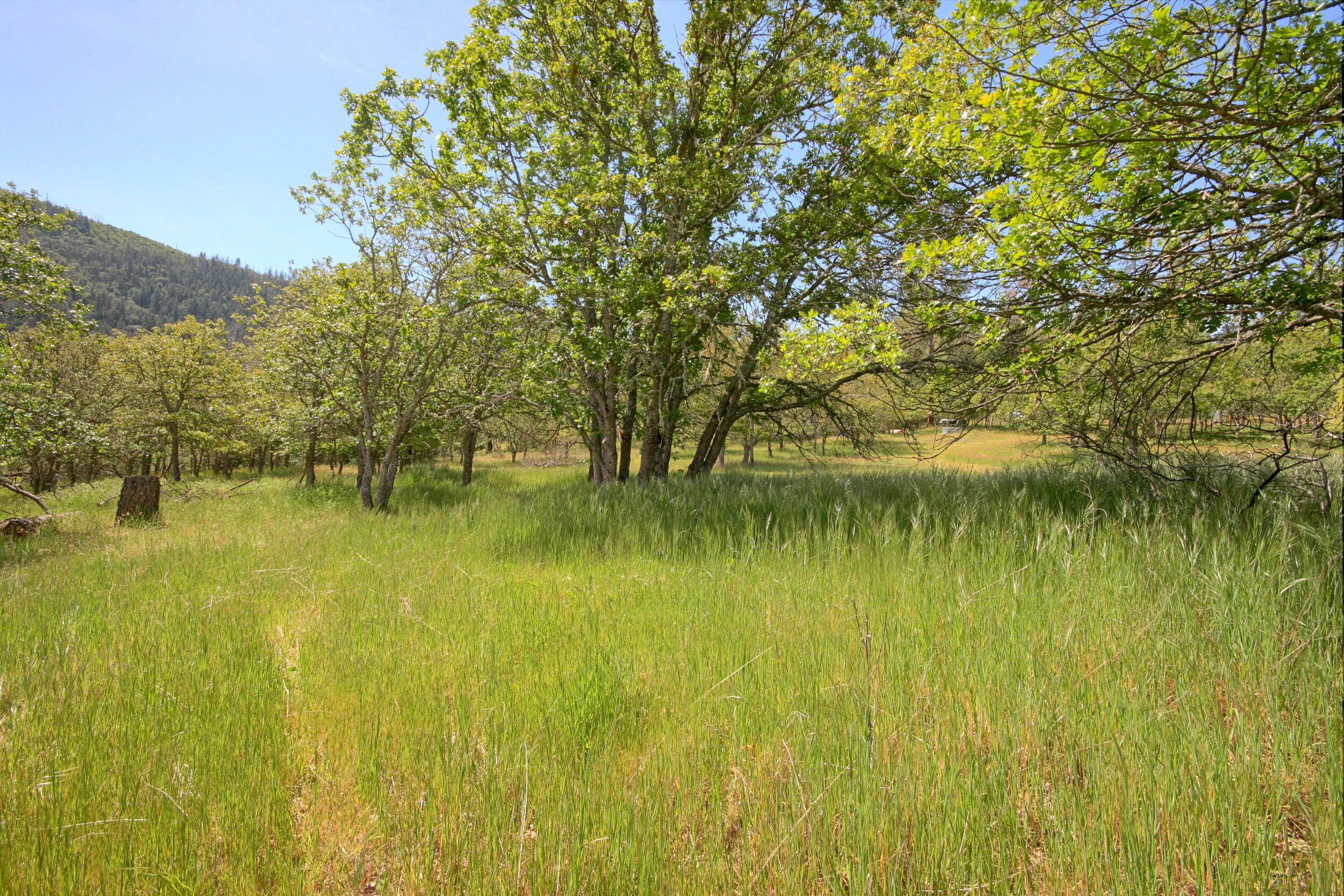 8150 Upper Applegate Road Jacksonville, OR 97530 - Photo 118 of 122
