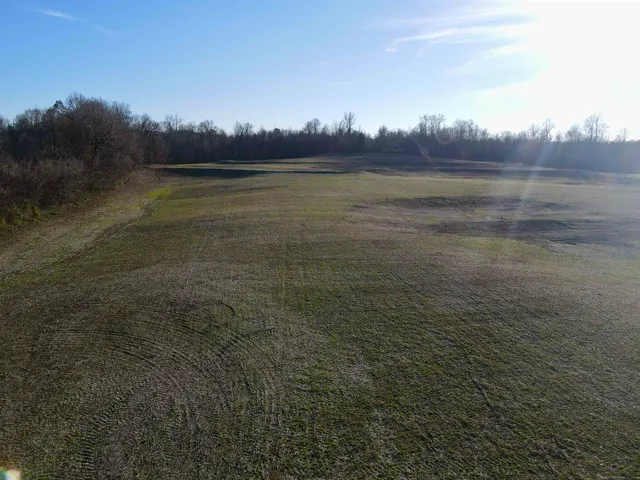 a view of a yard with an trees