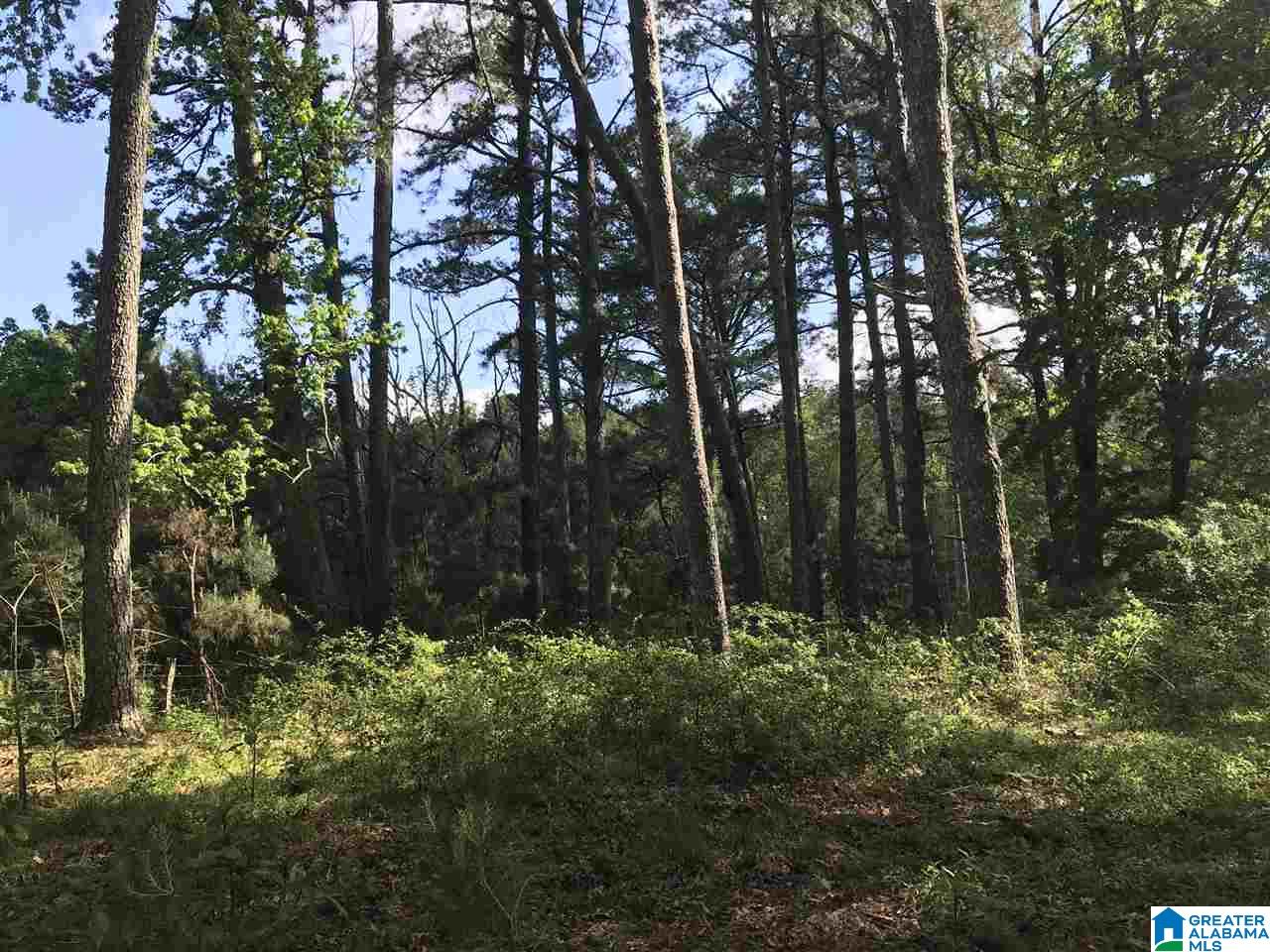 0 Steele Gap Road North, Unit 11 4 Steele, AL 35987 - Photo 1 of 26