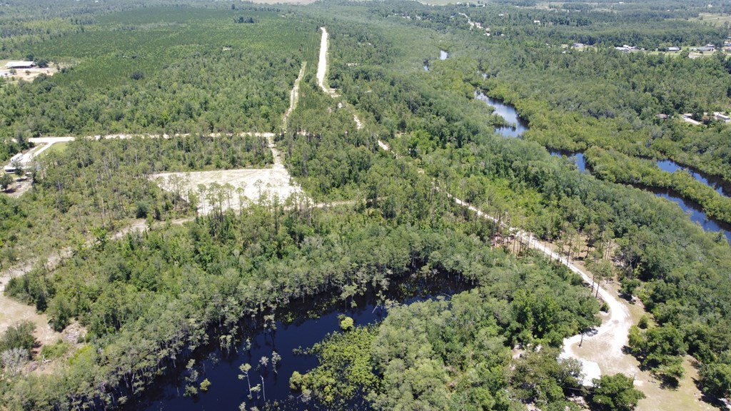 67 Shellcracker Lane Wewahitchka, FL 32465 - Photo 3 of 11