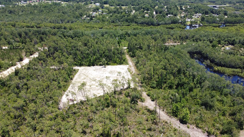 67 Shellcracker Lane Wewahitchka, FL 32465 - Photo 6 of 11