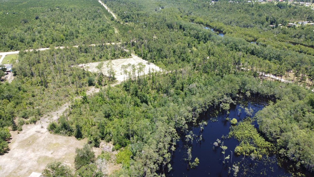67 Shellcracker Lane Wewahitchka, FL 32465 - Photo 7 of 11