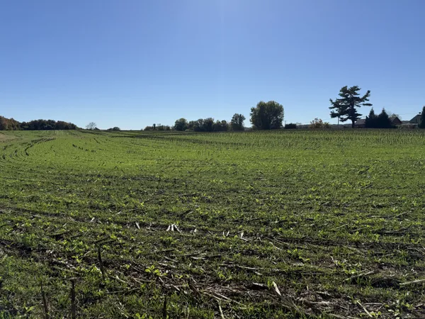 a view of an ocean from a yard