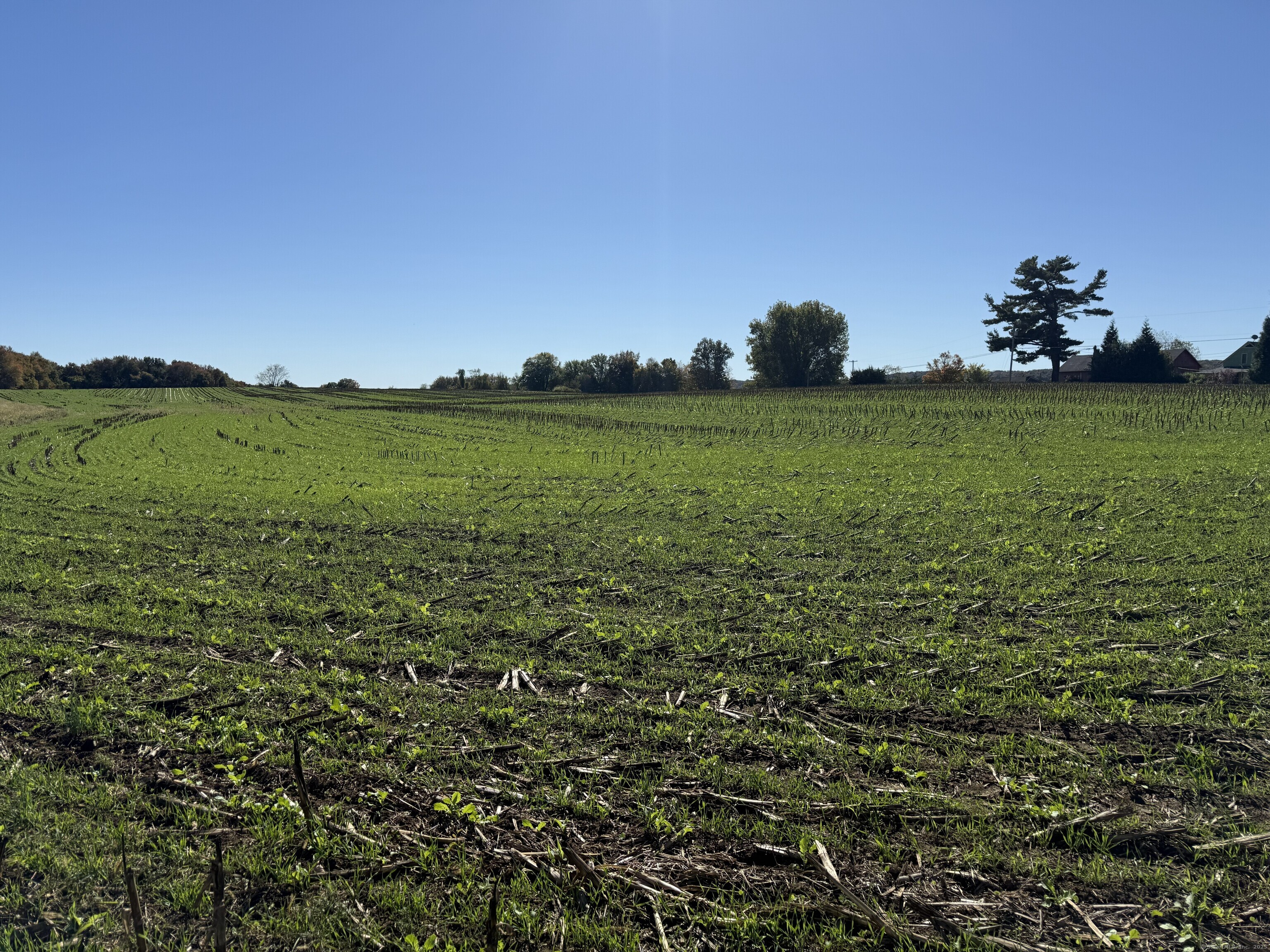 a view of an ocean from a yard
