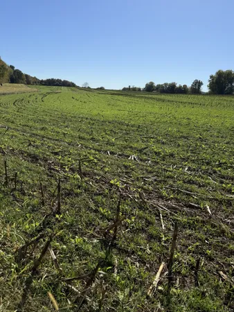 a view of lake and mountain view