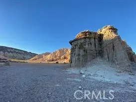 a view of a dry yard