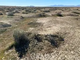 0 Joshua Edwards, CA 93523 - Photo 6 of 10 a view of a dry yard