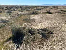 0 Joshua Edwards, CA 93523 - Photo 6 of 10 a view of a dry yard with wooden floor and fence