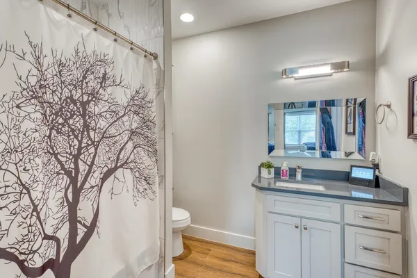 a bathroom with a granite countertop sink a toilet and shower curtain