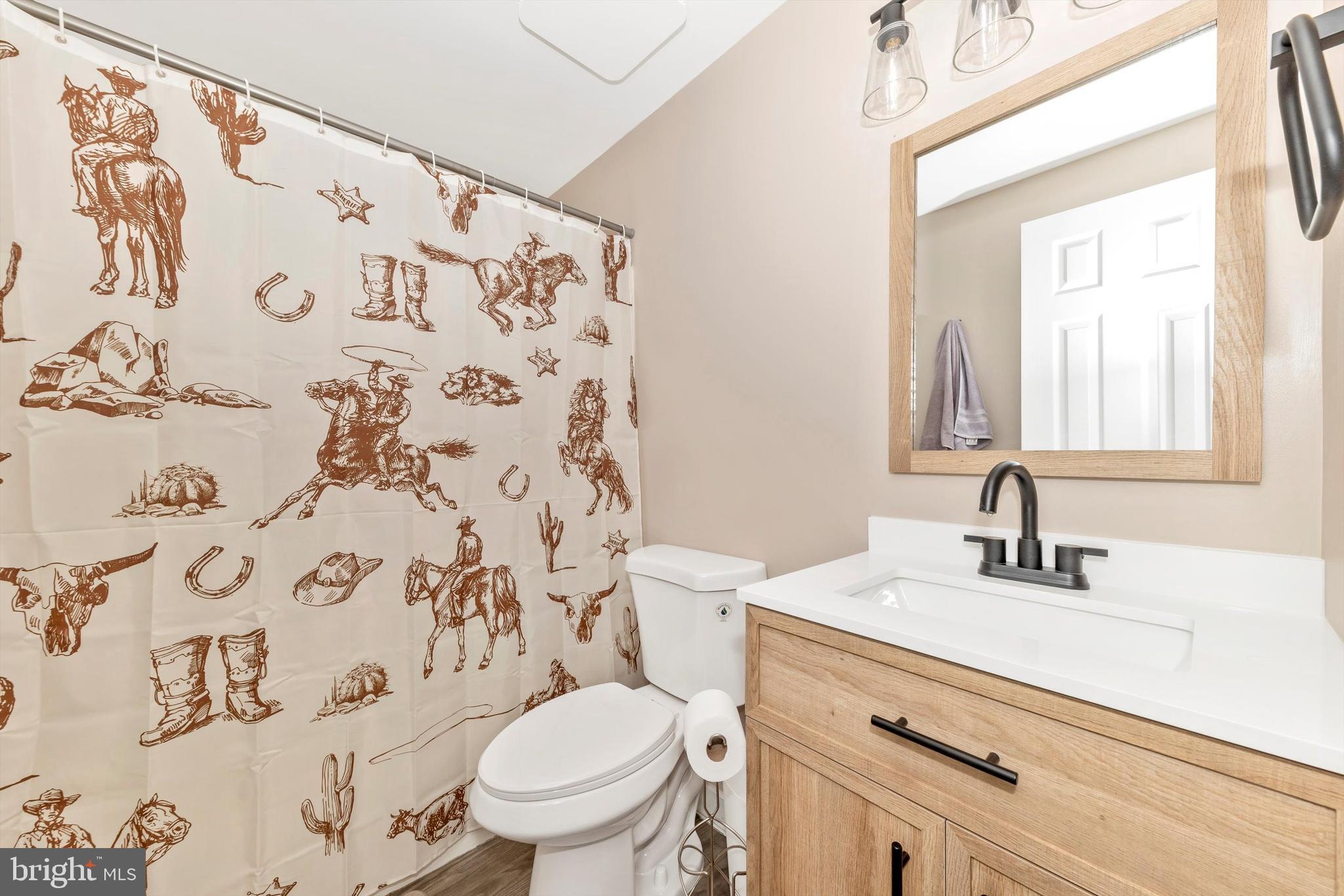 17449 Irishtown Road Emmitsburg, MD 21727 - Photo 28 of 77 a bathroom with a sink and a toilet