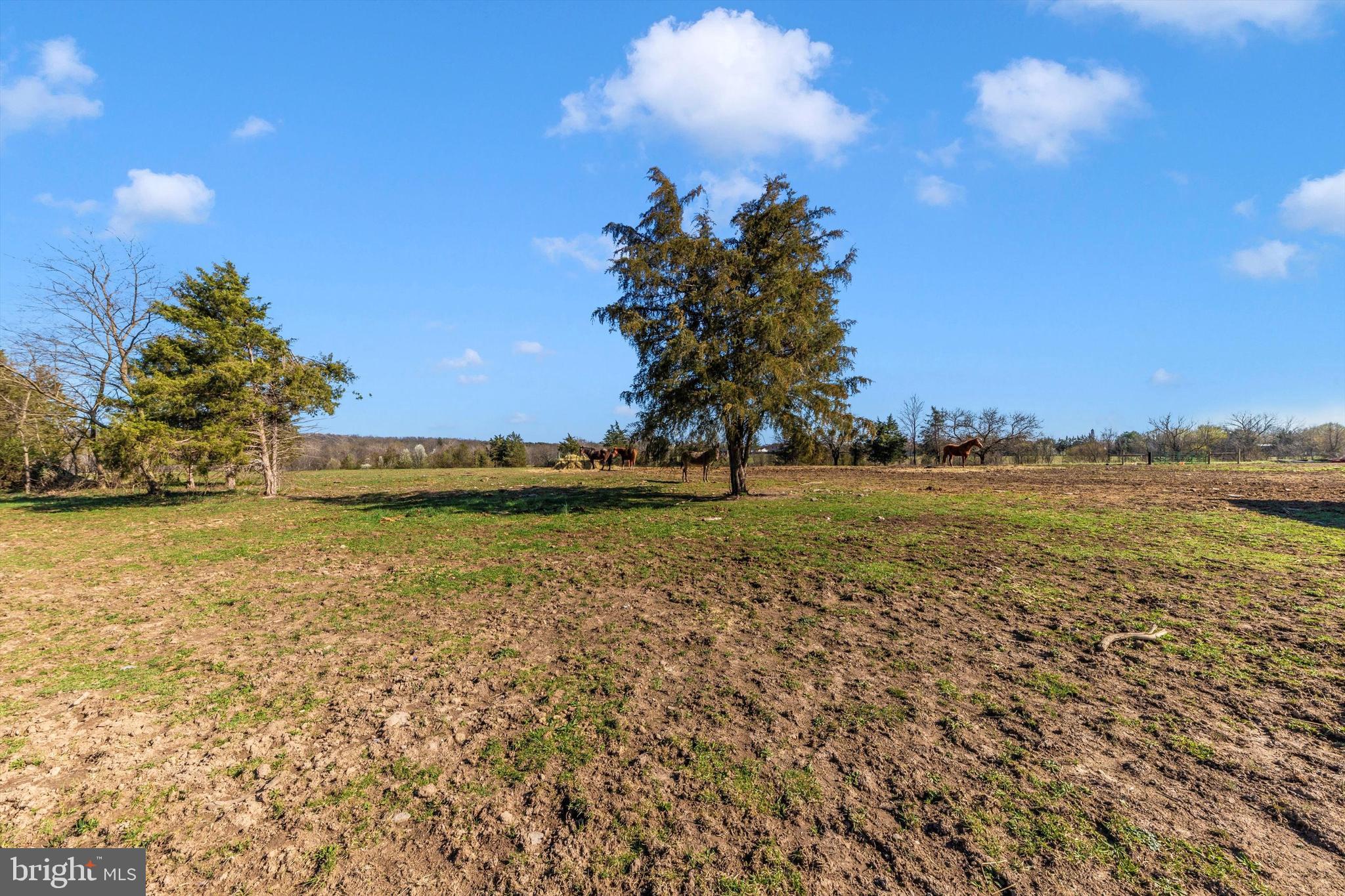 17449 Irishtown Road Emmitsburg, MD 21727 - Photo 53 of 77 Exterior