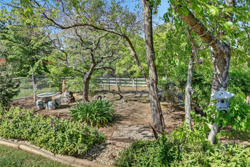 5560 Ralston Way Placerville, CA 95667 - Photo 41 of 78 Area near Pool