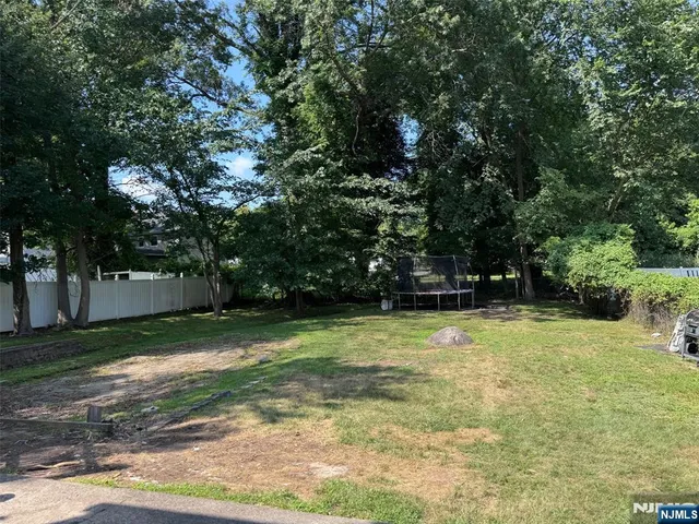 a view of a tree in a yard