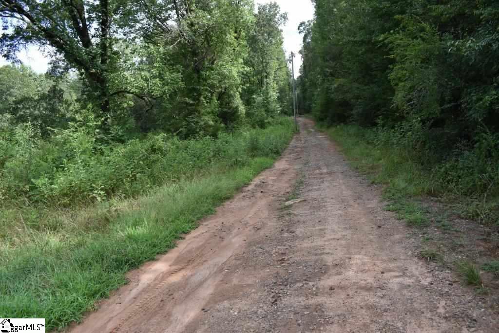 0 Benjamin Road Gray Court, SC 29645 - Photo 11 of 16