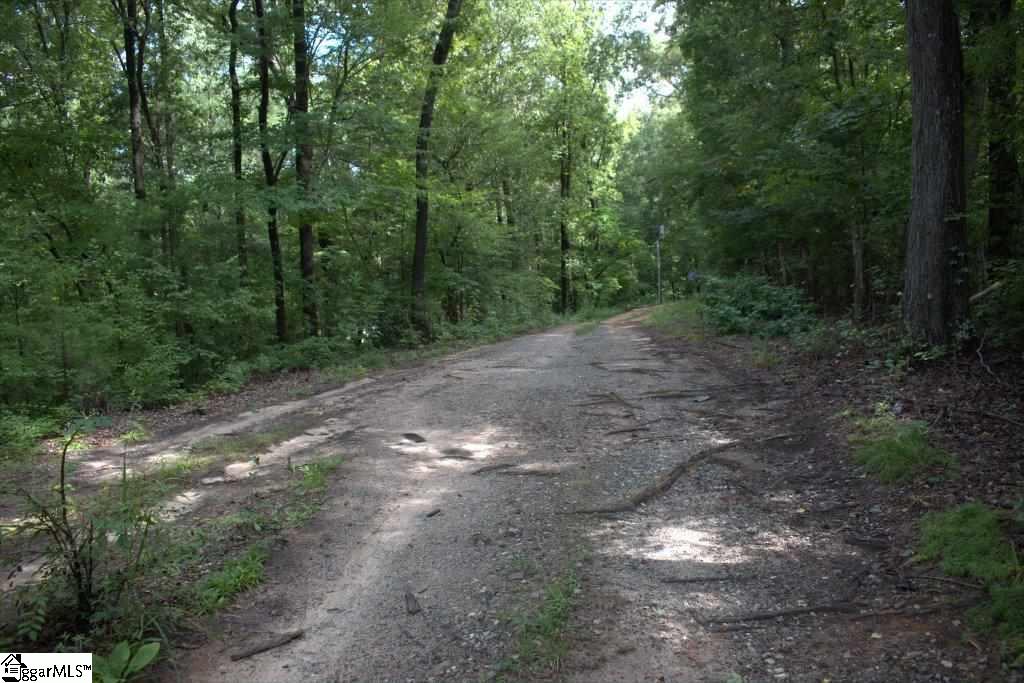 0 Benjamin Road Gray Court, SC 29645 - Photo 12 of 16
