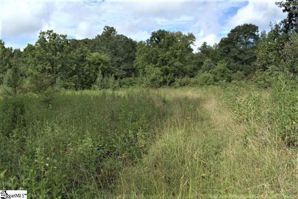0 Benjamin Road Gray Court, SC 29645 - Photo 13 of 16