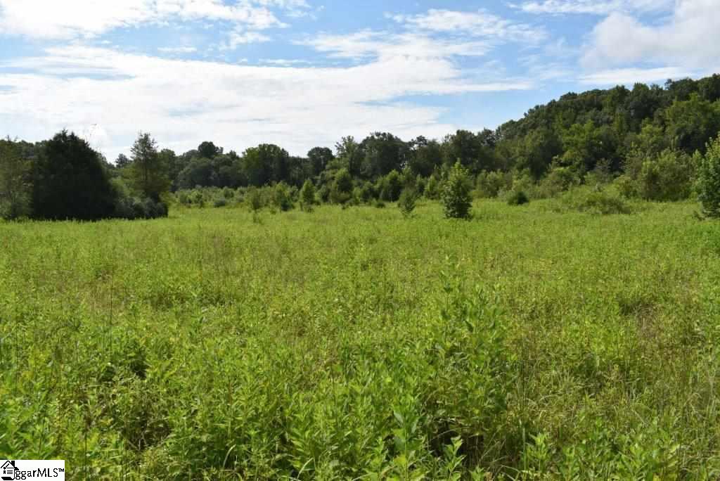 0 Benjamin Road Gray Court, SC 29645 - Photo 14 of 16