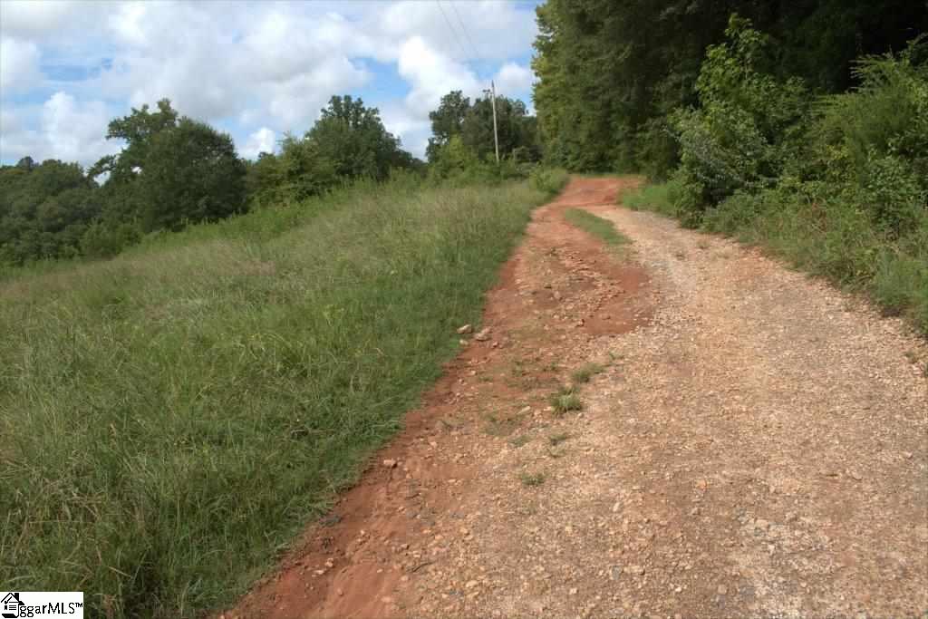 0 Benjamin Road Gray Court, SC 29645 - Photo 16 of 16