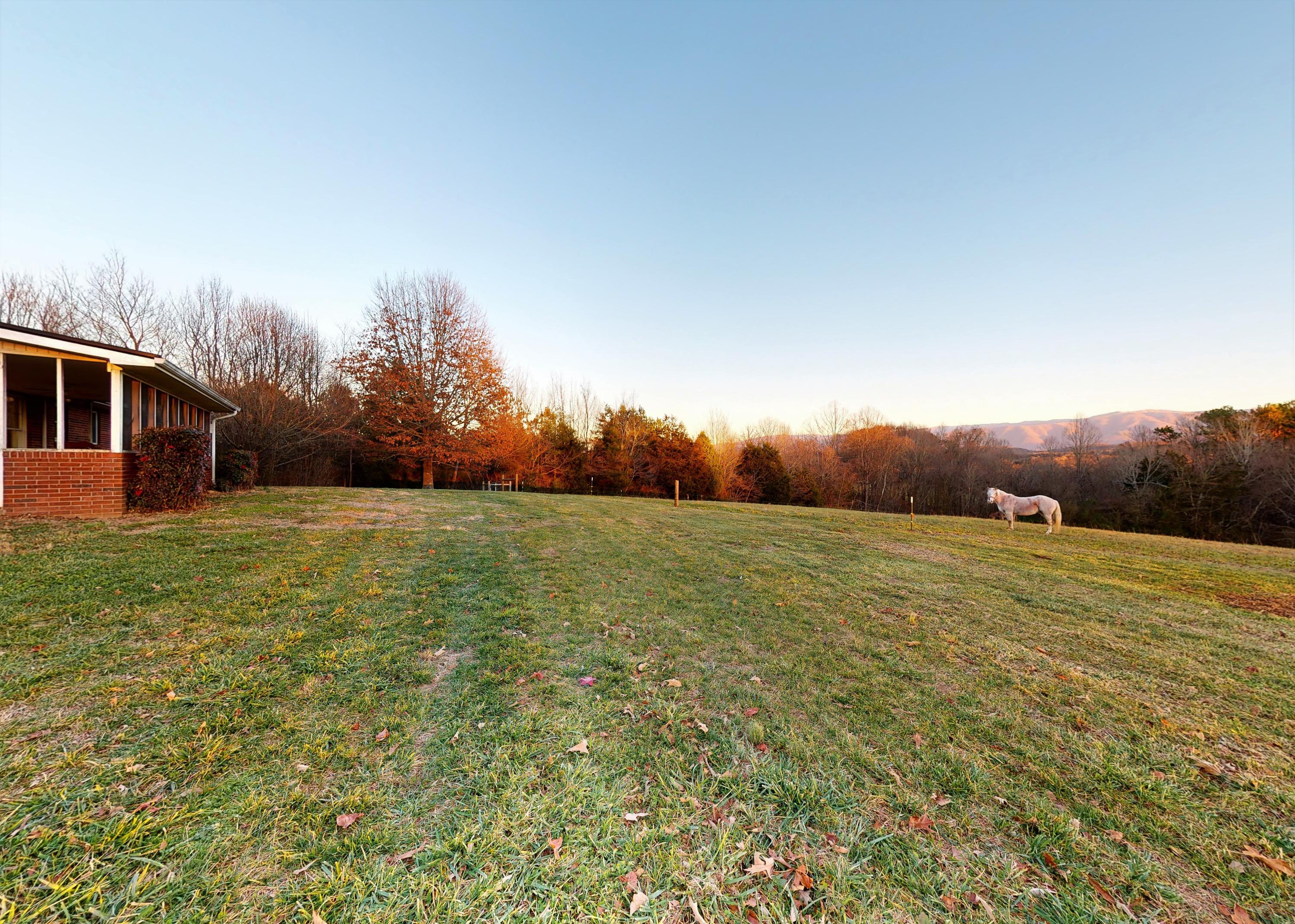 2127 Pisgah Road Greeneville, TN 37743 - Photo 52 of 72 Back Yard